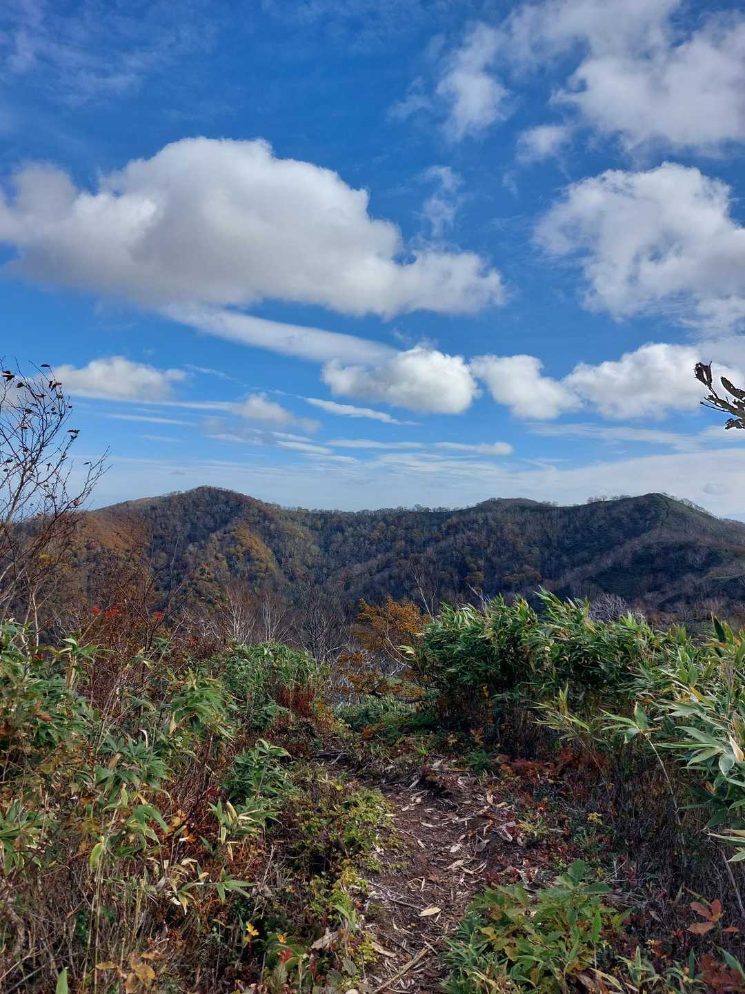 沖里河山-無名山-音江山 往復コースの写真