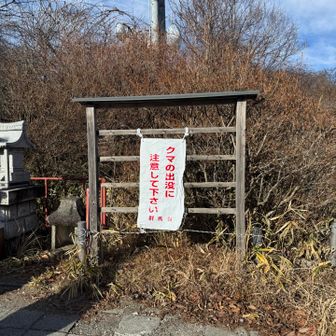 ここにも🐻⚠️