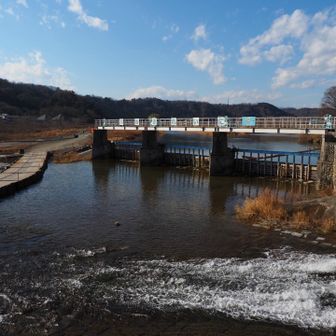 羽村取水堰。ブラタモリで見ました。