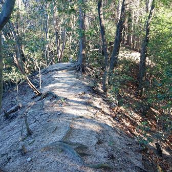 人は歩いている感じです
大きなアップダウは無い道