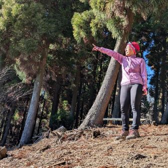 遠望がない
遠くに見えるのは日野山かなぁ