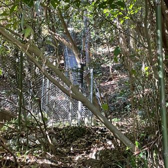境内の裏側に階段があり、山頂に行けるようですが、この先は私有地とのこと
「行ってはいけない場所」と理解しました🚧

境内のお社の左側まで来てしばらく留まれば、山頂まで100m以内でピークは取れます☝️

富塚山には携帯電話の基地局アンテナがあって、その保守用に仮設階段がある、との書き込みを見ました