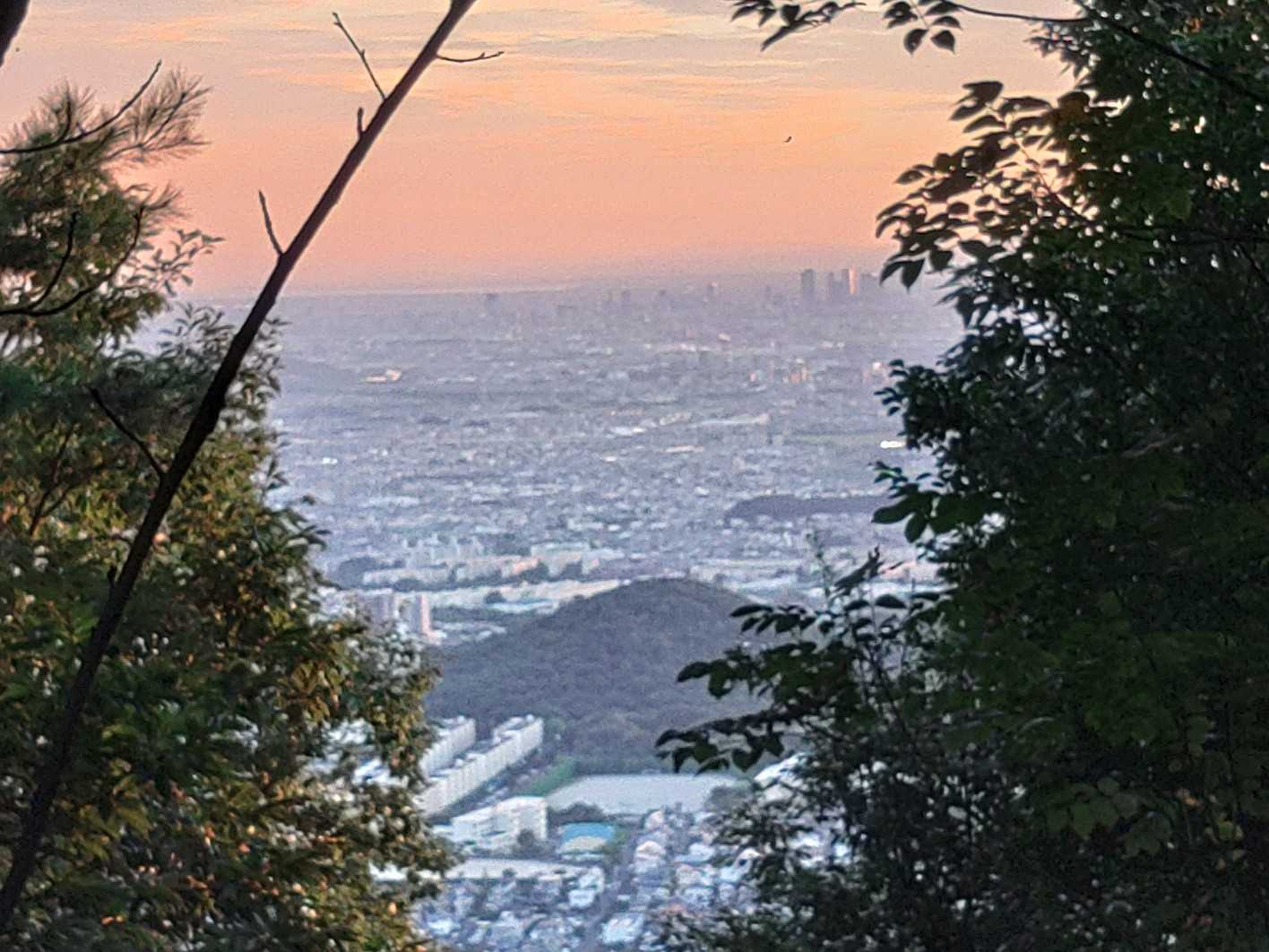 道樹山-大谷山-弥勒山 往復コースの写真