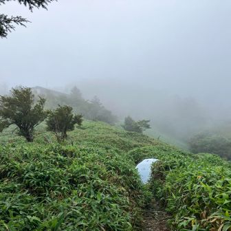 野営場を横切る。☁️