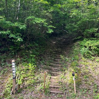 朝鍋山登山口　
綺麗に整備されてる階段が

登山口の道路の空き地🅿️できそうですが狭い💦