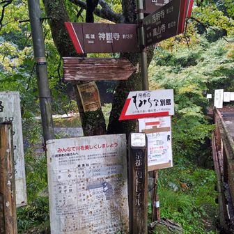 神護寺などとの分岐です。