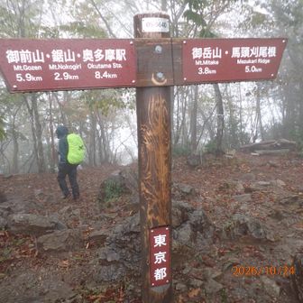 雨が強くそそくさと下山します