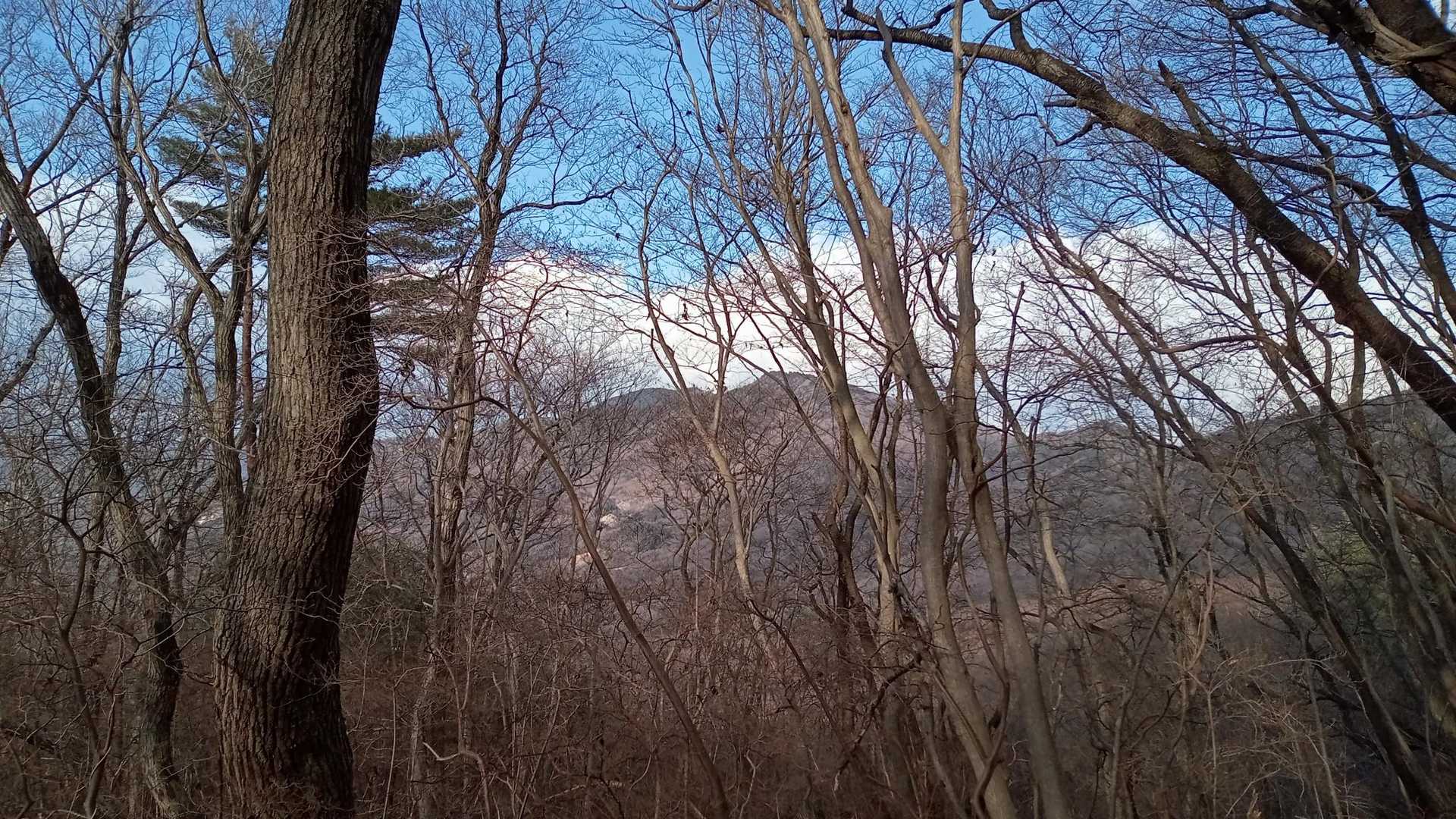 木々の隙間からの景色と共に好印象