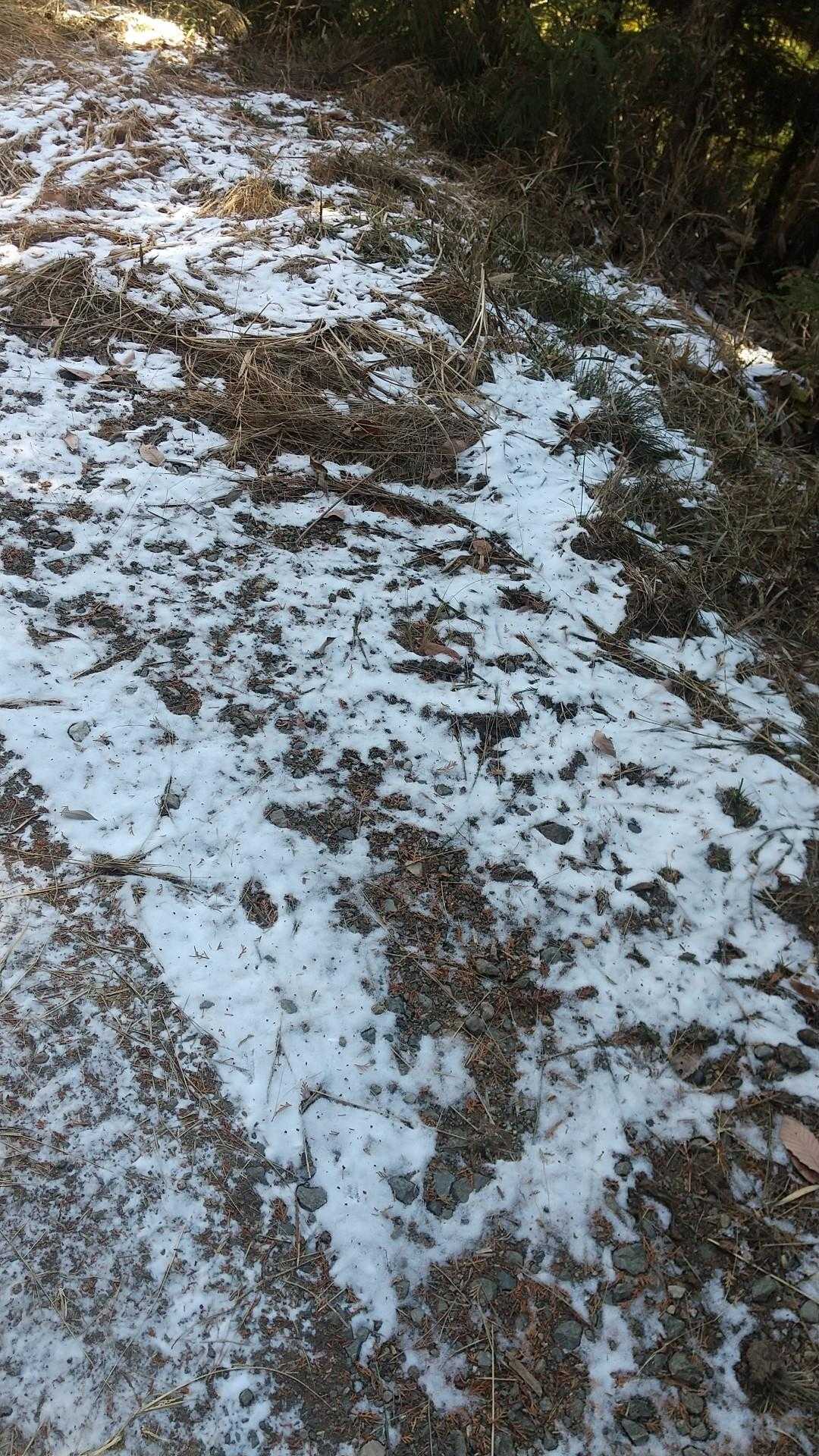 今シーズン初めて雪さわる。
今年は降らないのかな～
降ってる雪暖かい部屋から見るの好きなんだけどなぁ