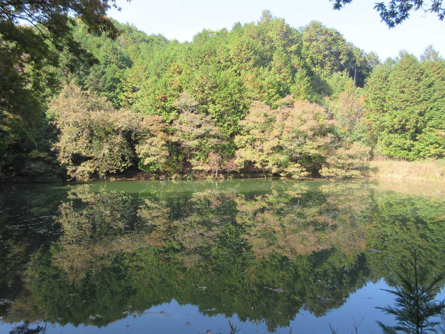 湖面に映る紅葉