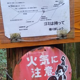 セト着🖐️