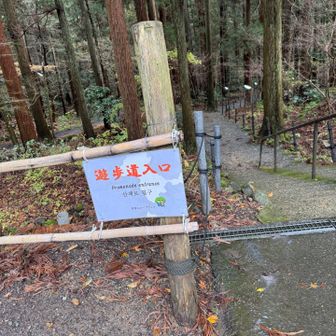 神社までのシャトルバスには乗らず
遊歩道を行く