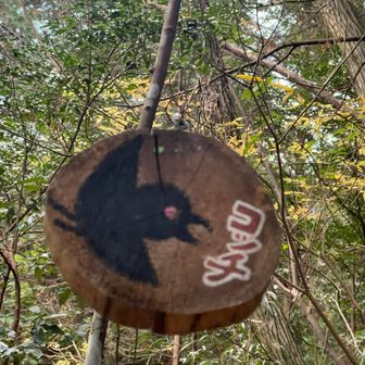 コッチだって😆