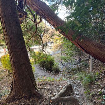 そして、
明日も楽しみ。