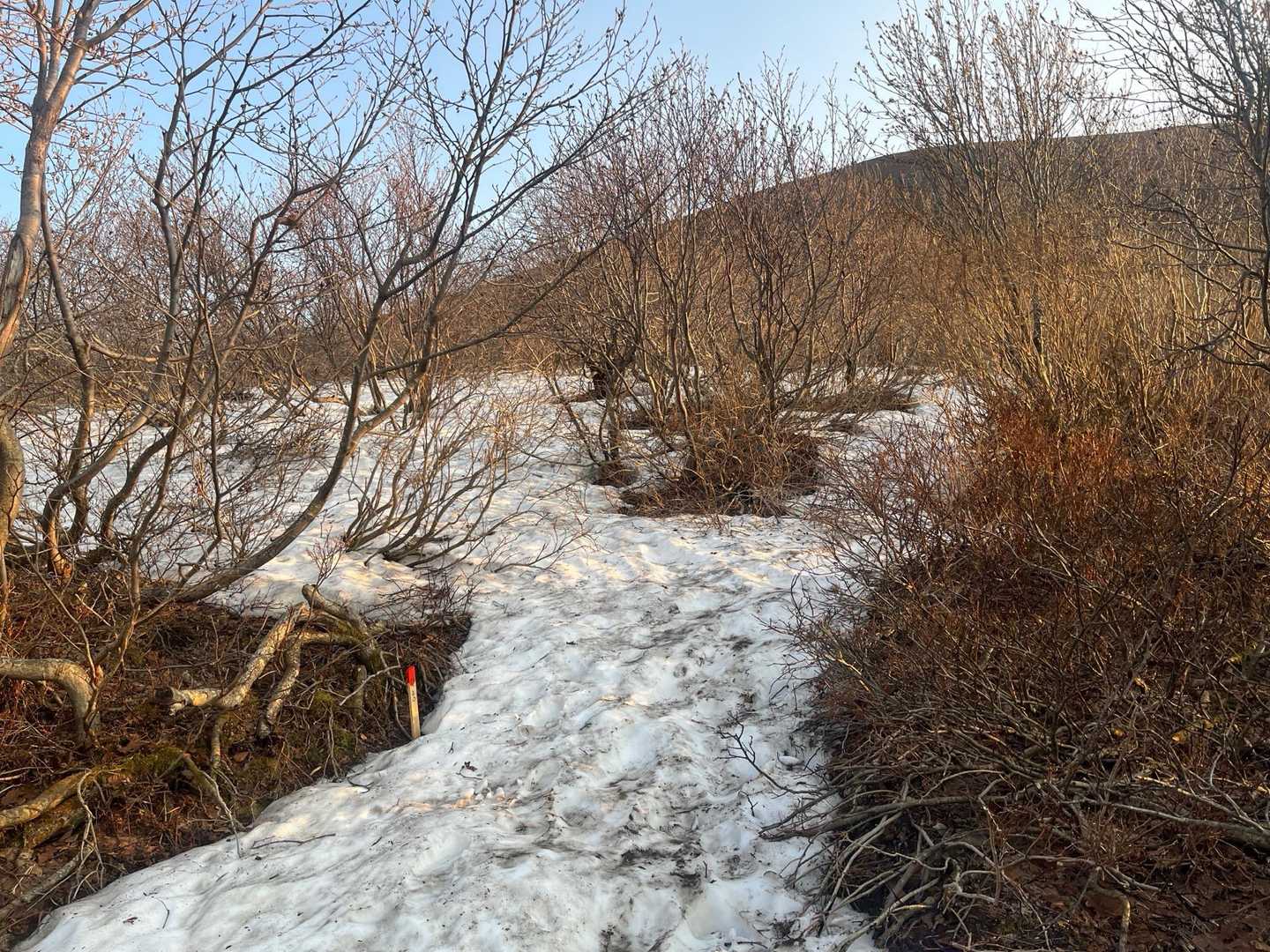 雪が残ってるのはこの辺だけ。
来週には完全に夏道かな。