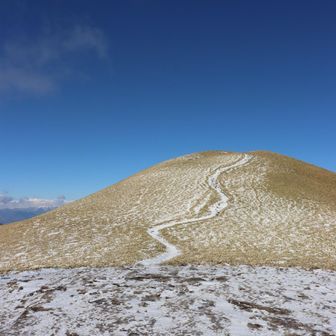 夏場に来たかったな