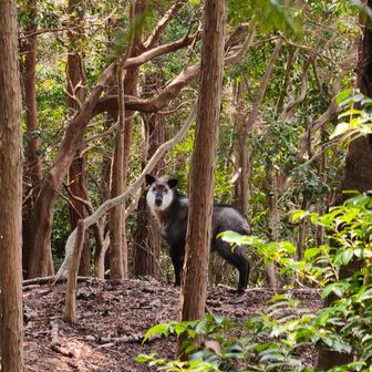 でいたらぼっち（笑）