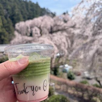 さくらと抹茶のラテ