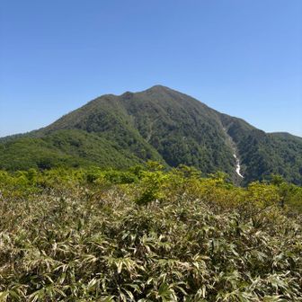 コアラからの荒島岳
遠くなった