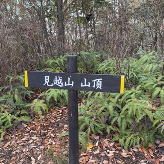 見越山