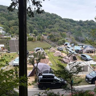 キャンプ場は車がいっぱい！