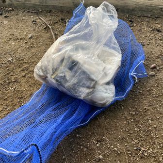 今年一年お世話になった四王寺山に小さな感謝を込めて目についたゴミを回収して回った
比較的少なかったよ☺️