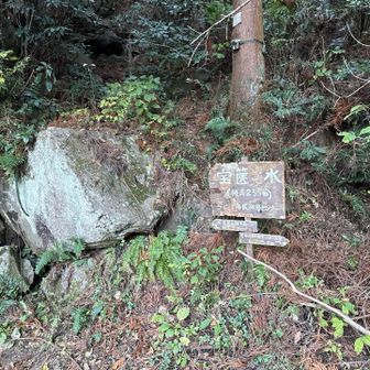 山頂まで1.7キロ　その②
わかっていても、毎回がっかりする😢
結構登ったよね？？私？