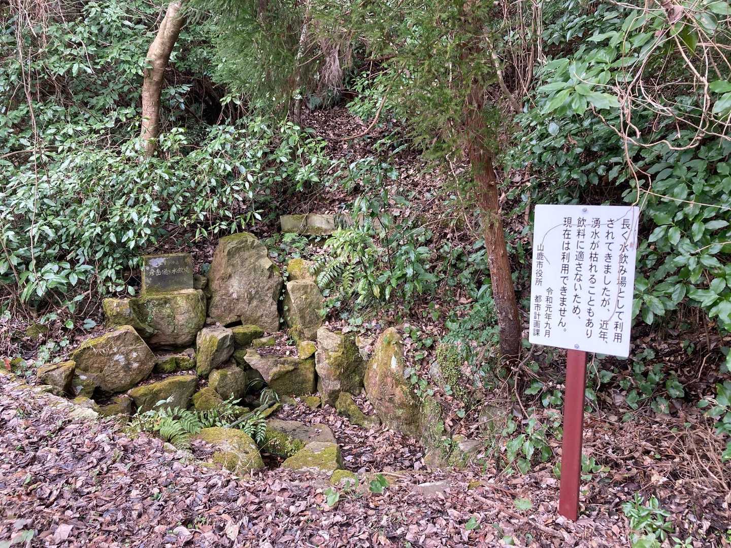 水飲み場🚰
水はありません。