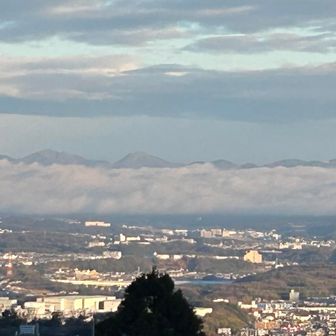 稲荷神社の境内に登って、見た