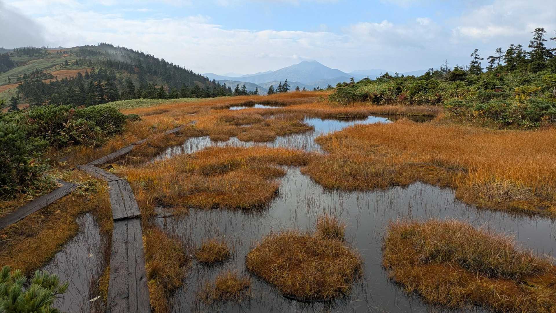 会津駒ヶ岳・中門岳 | 急登の先は池塘が点在する天上の楽園。開放感抜群の木道歩きの写真