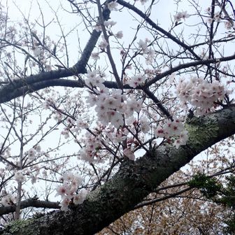 いい日に来れました