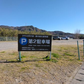 今回利用した駐車場。平日で朝早いせいかガラガラ