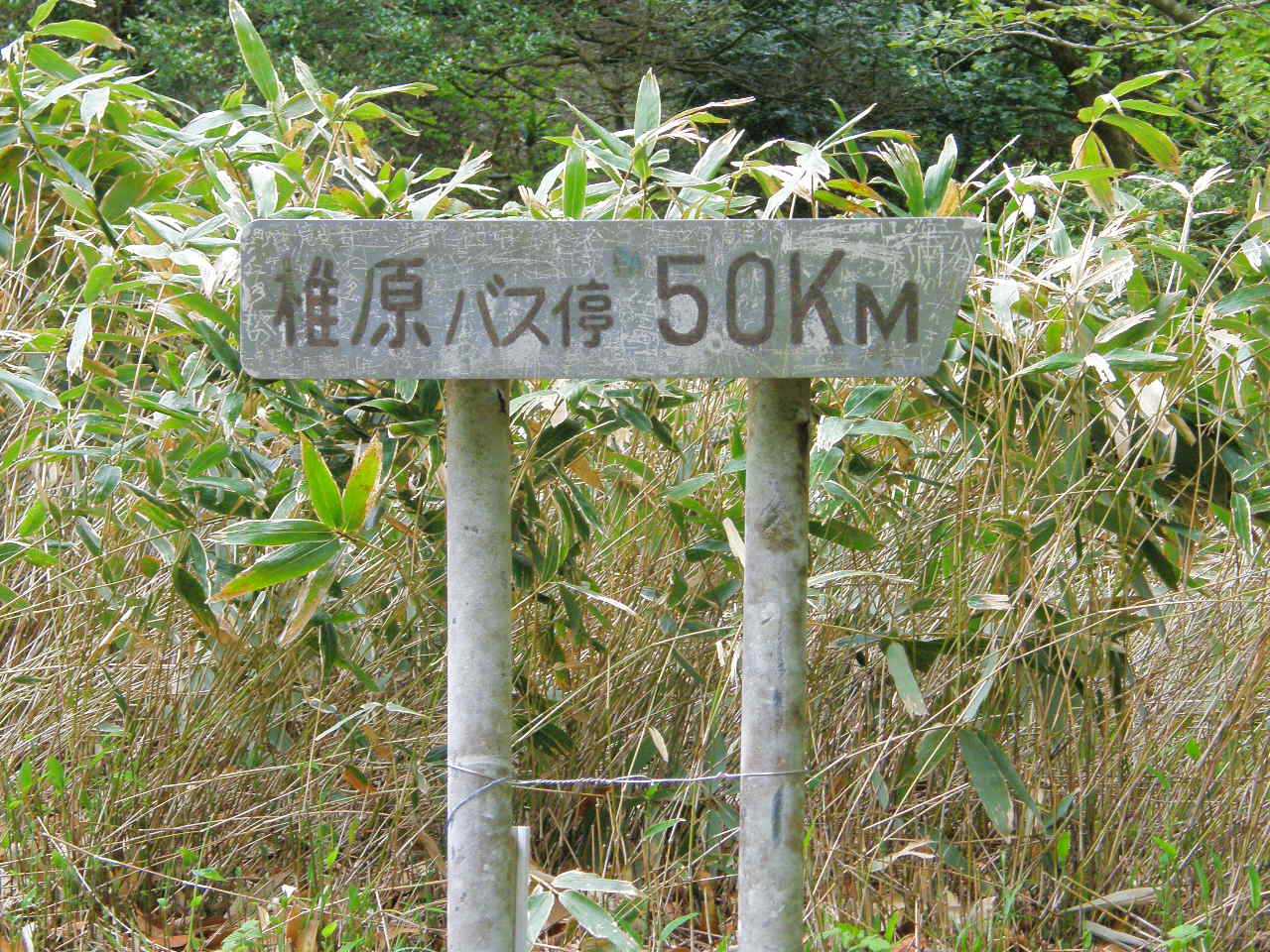 旧水無登山道とか金山で見たのと一緒、めちゃくちゃ古い看板( Ꙭ)✧‧˚☪︎⋆｡˚✩
昭和感がたまりませんなぁ🤤💦