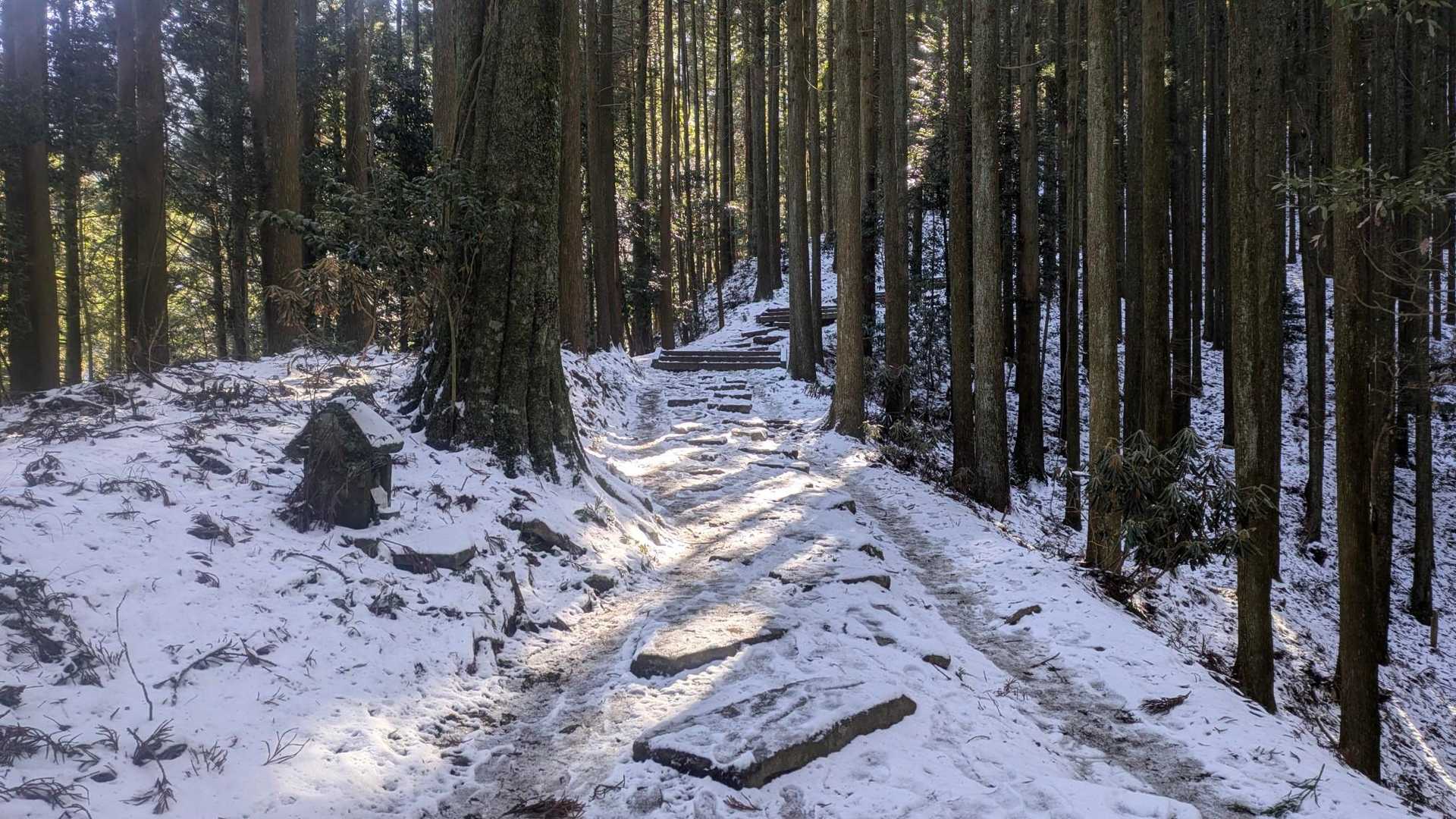 大行寺山 往復コースの写真