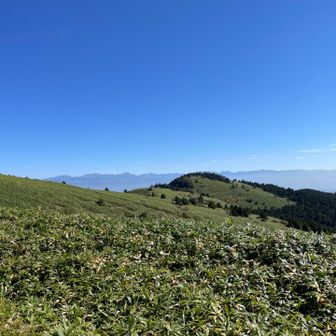 南アルプスの長く続く山並みを見ながら歩きます