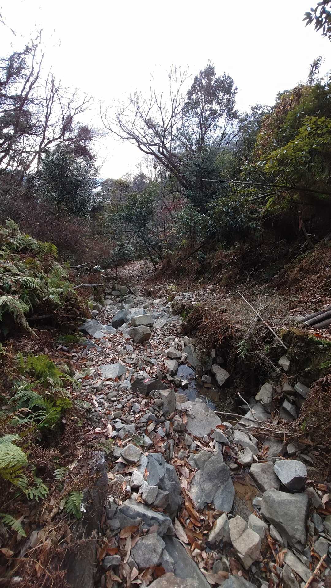 小岩だらけの悪路