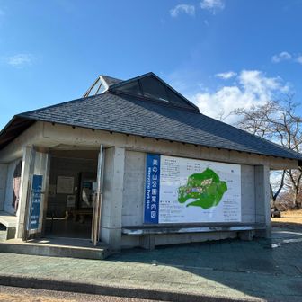 雨宿りには、もってこい