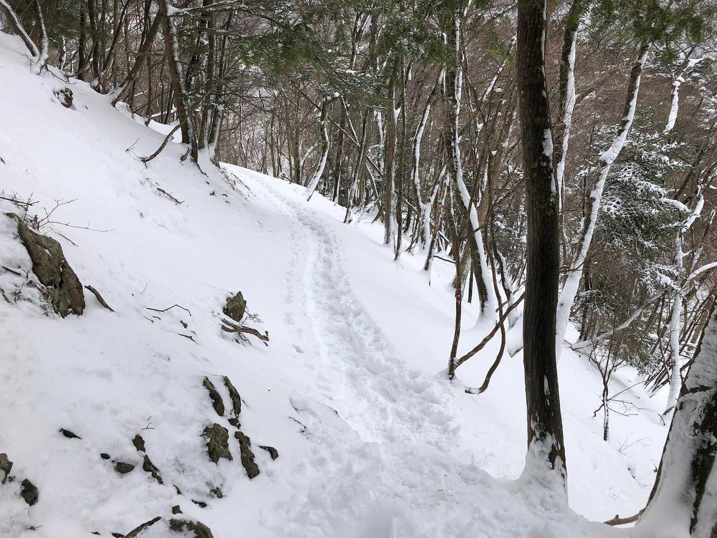坊村バス停-坊村登山口-御殿山 往復コースの写真