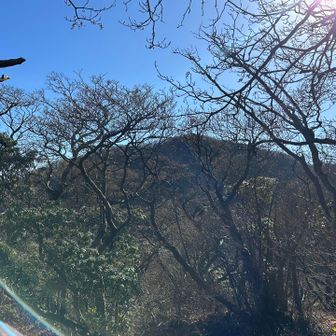 神山へ帰ります💧👆