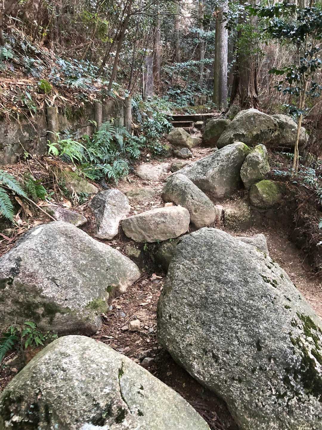 さっそくの石ゴロゴロ道
よけながら進みます