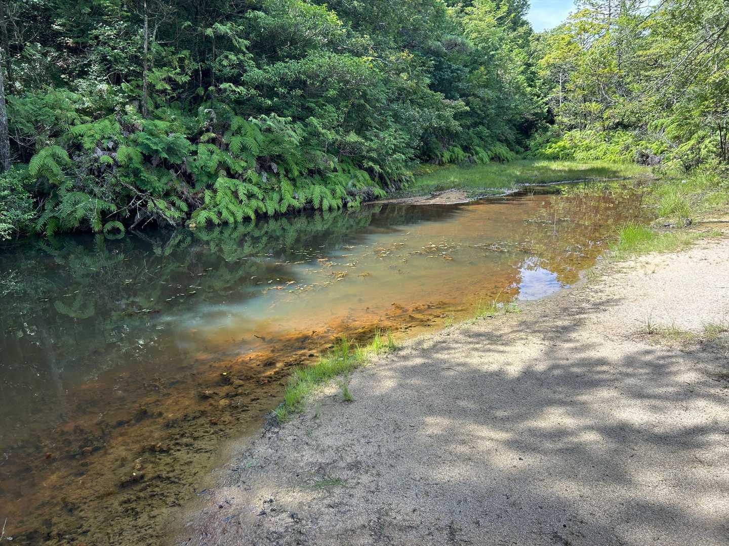 二つ目の、比較的大きい池。