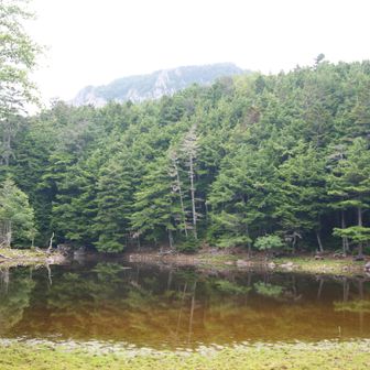 後ろに稲子岳の岩壁
