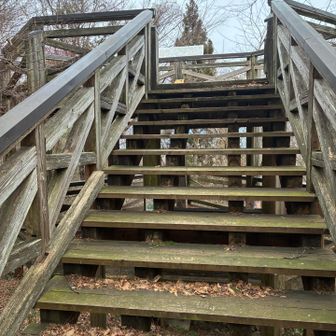 展望台
多分晴れてても木🌲が育ちすぎてビューなし