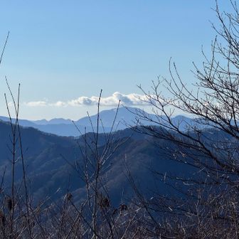 箱根の神山と金時山