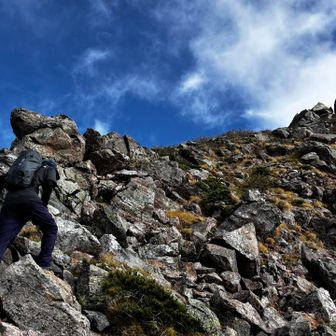 登山道があるわけではないから、どの岩に足を置いて、どう登って行くか考えながら登る

整備された道は楽だけど、こういうところの方が断然楽しく登れる！
でも浮石には要注意