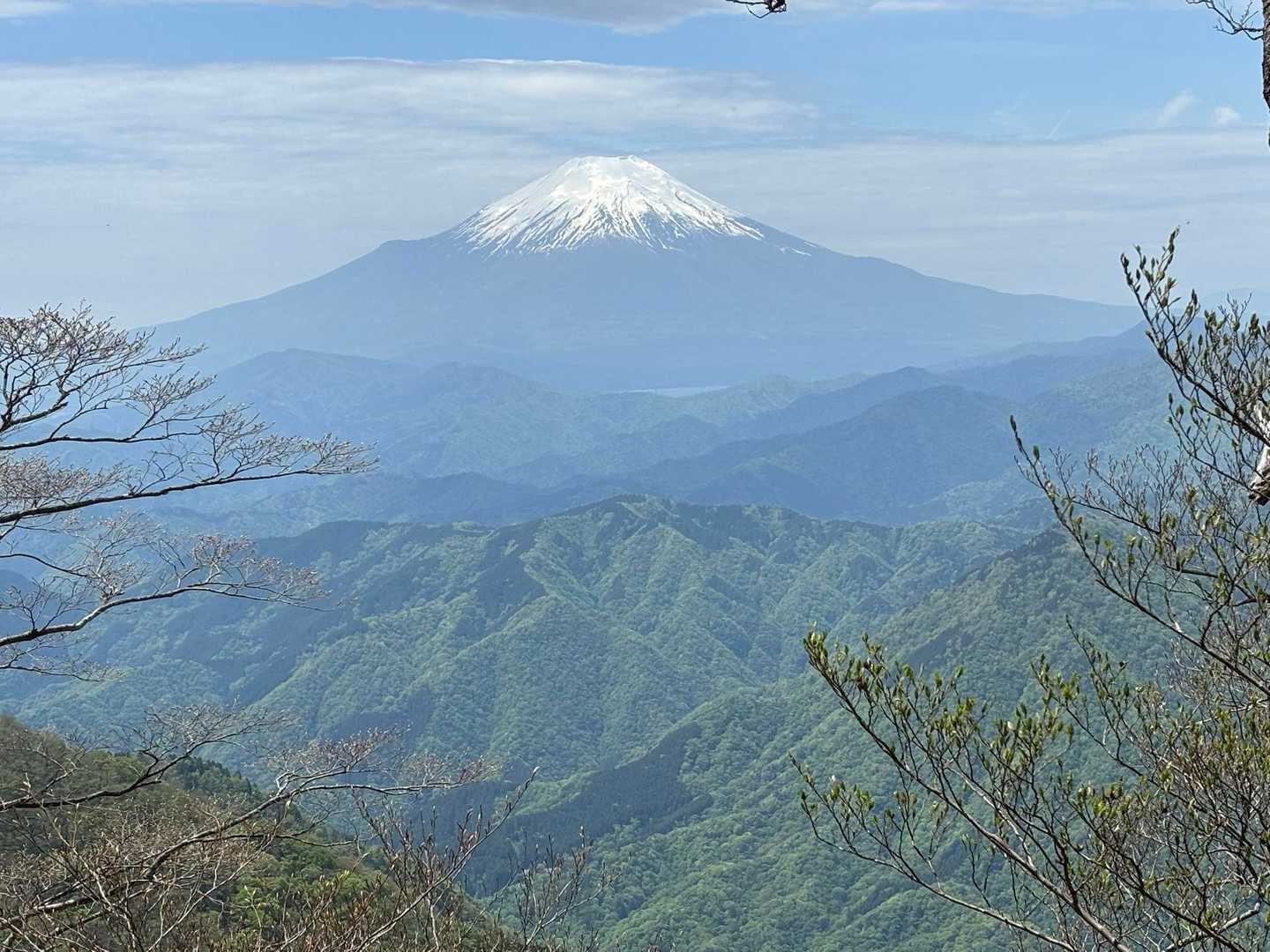 来ましたー