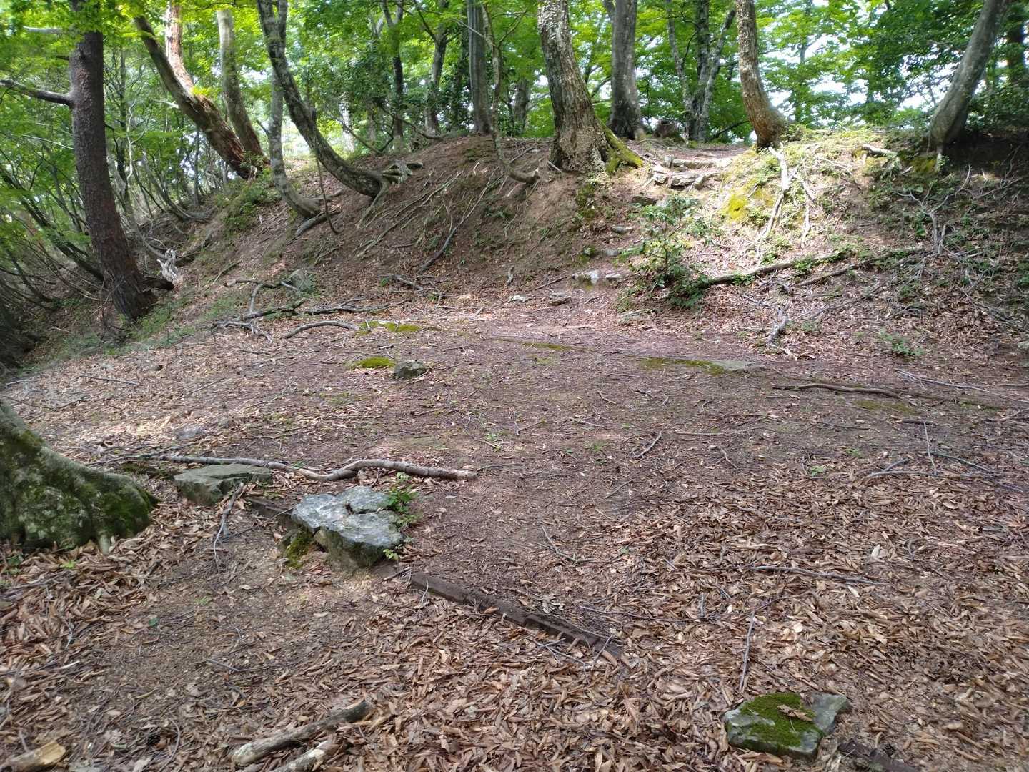 西御殿の礎石建物跡