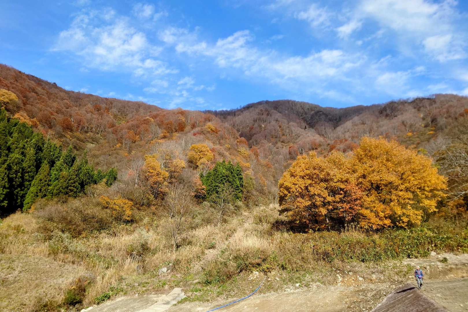高倉山 往復コースの写真