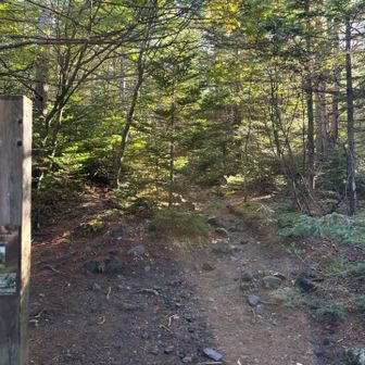 賽の河原分岐　前掛山方面