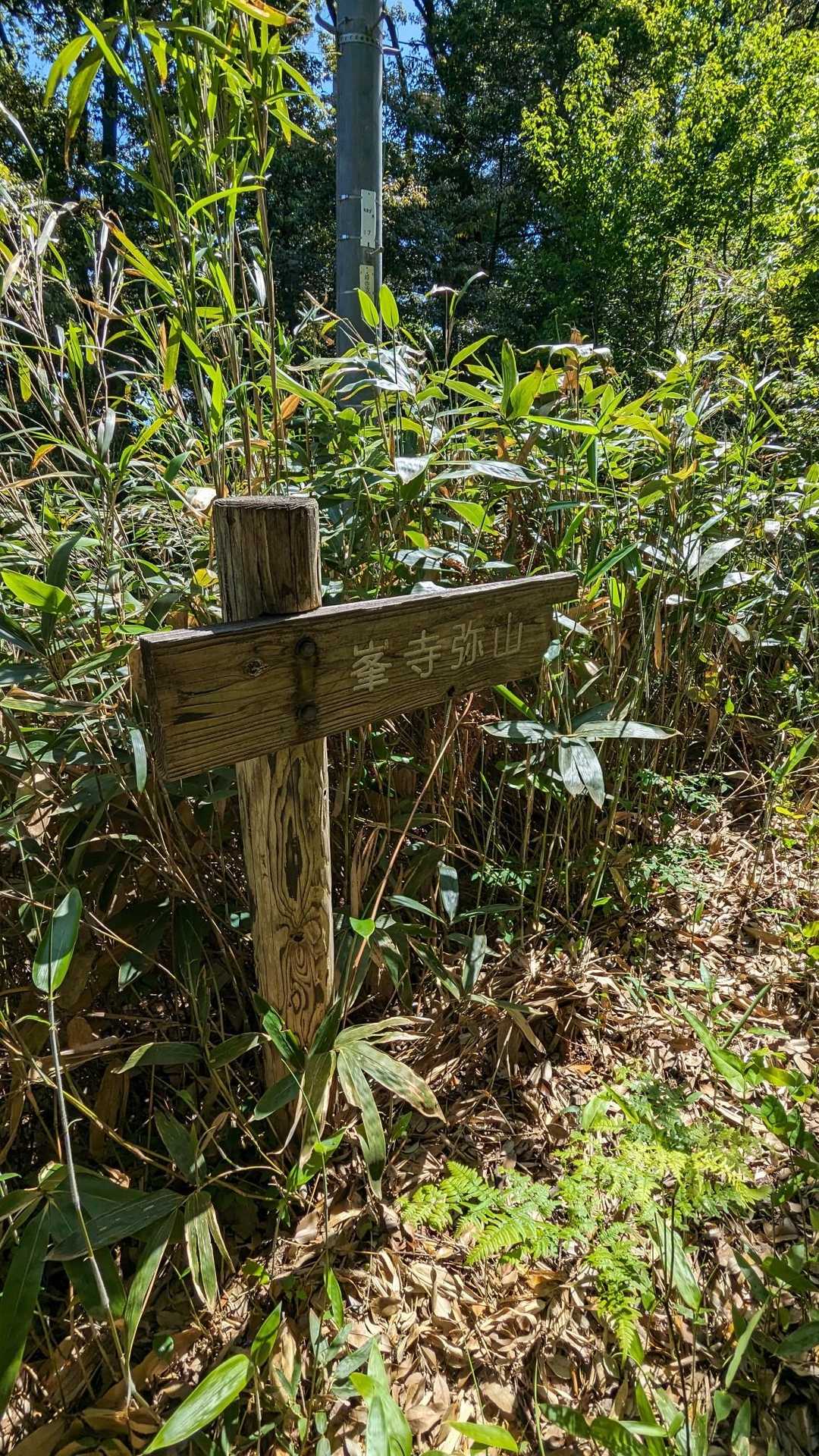 峯寺弥山 往復コースの写真